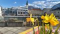 Ausblick Dachterrasse