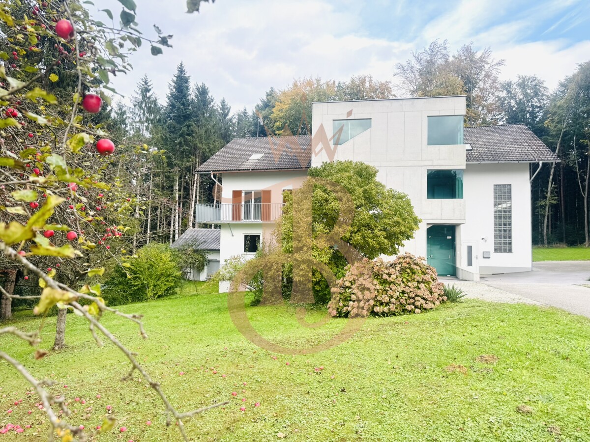 Foto der Immobilie (18386)