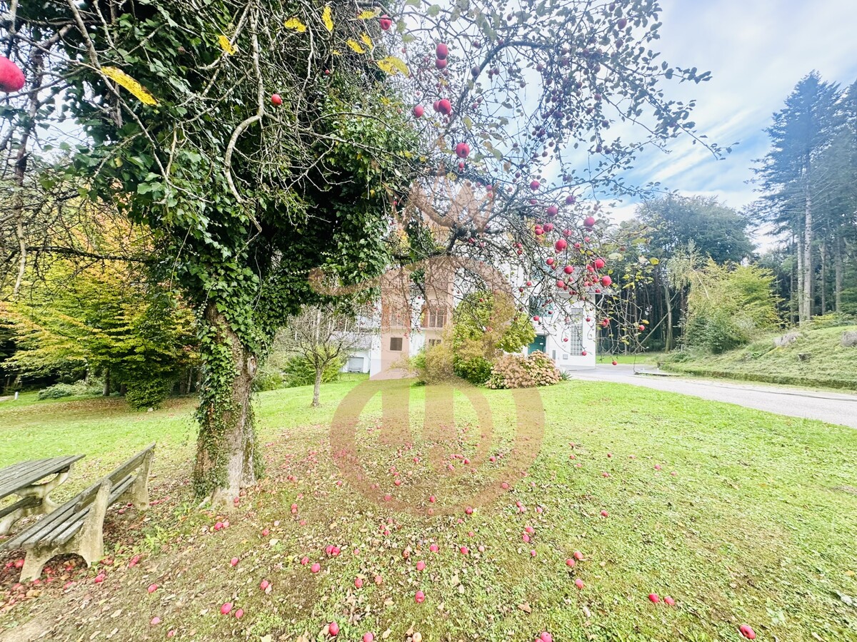 Foto der Immobilie (18333)