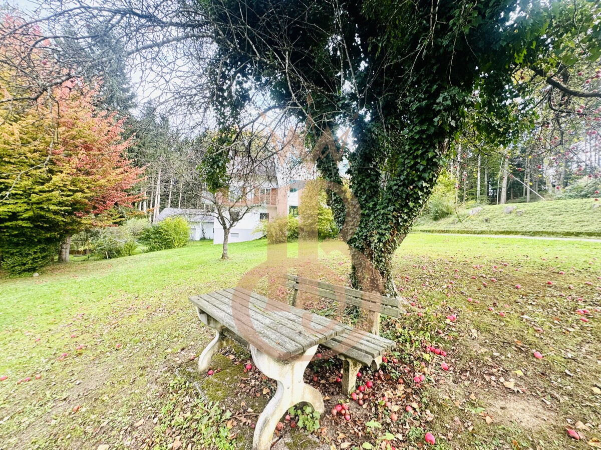 Foto der Immobilie (18332)