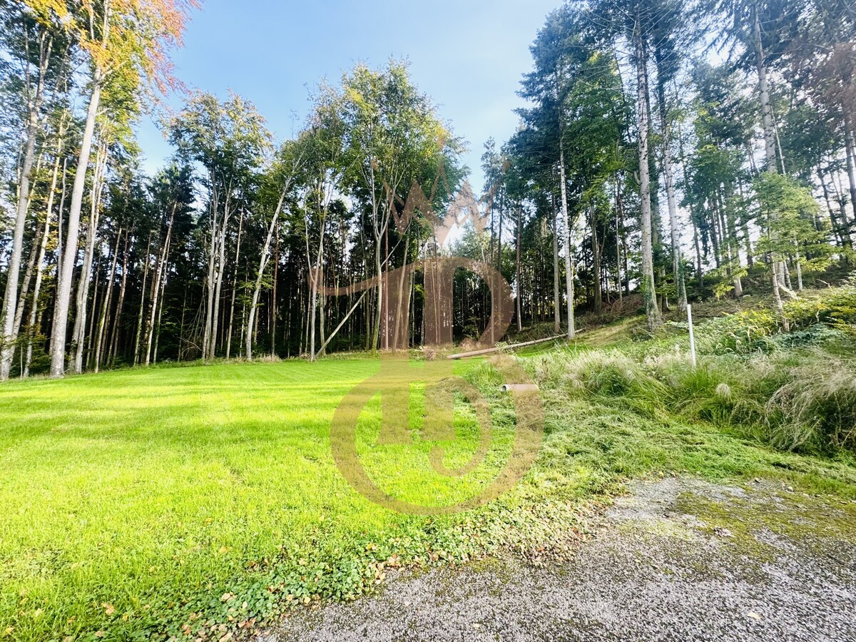 Foto der Immobilie (18335)